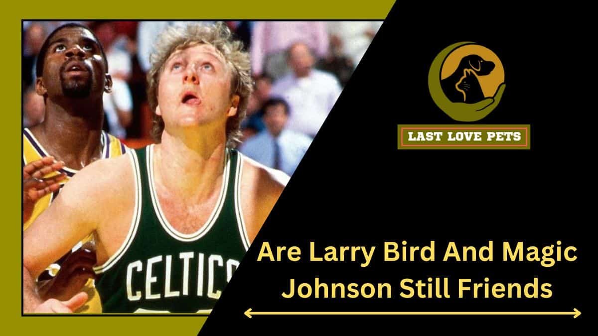 Are Larry Bird And Magic Johnson Still Friends